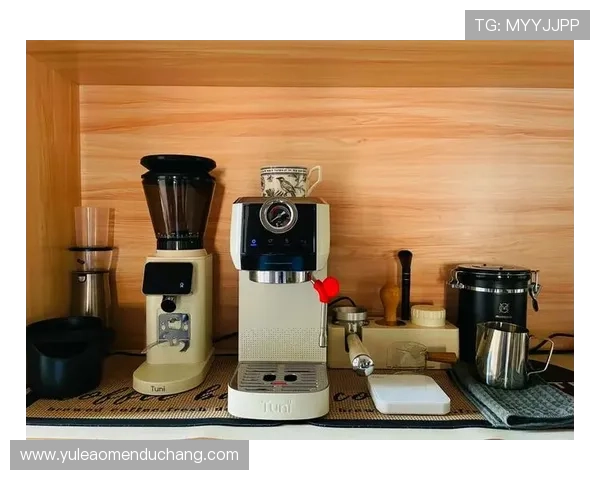 百宝来摩卡：探索多功能咖啡机的完美体验