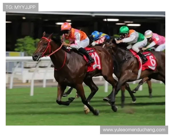 在hkjc网站上学习和掌握赛马知识的最佳途径有哪些 在hkjc网站上学习和掌握赛马知识的最佳途径有哪些